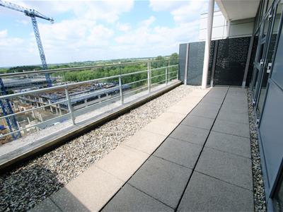 Picture 7
